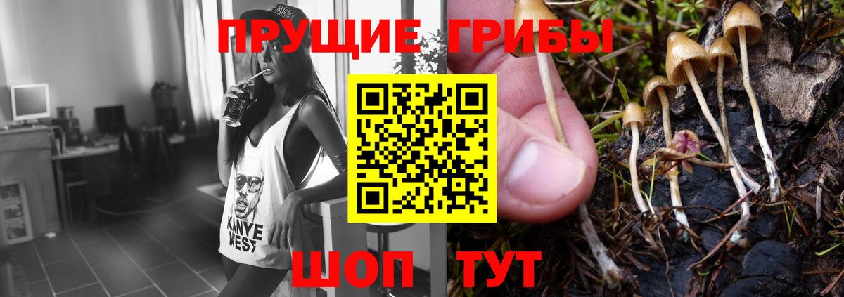 Псилоцибиновые грибы Psilocybine cubensis  Вход с VPN  Наро-Фоминск 